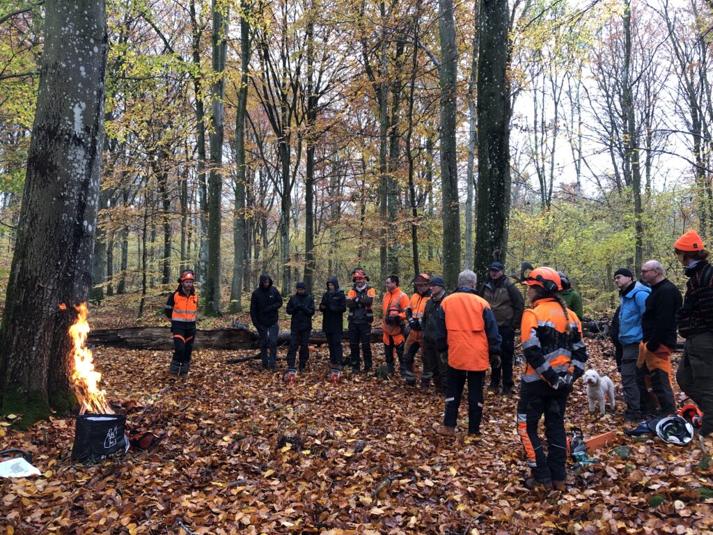 Kursdeltagare står samlade kring ett träd